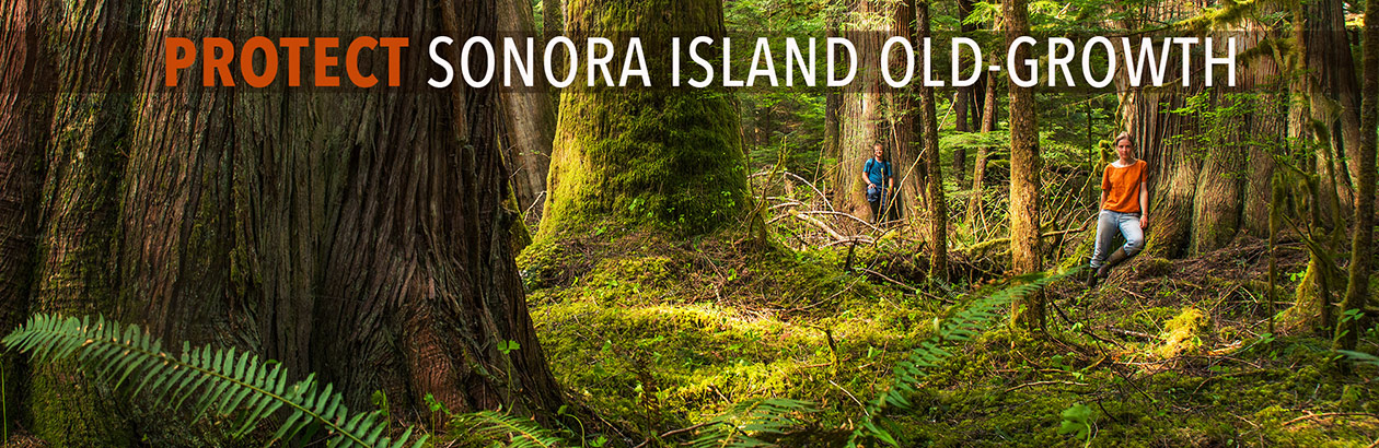 Sonora Island Old-Growth
